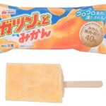 セブンイレブンの赤城 ガツン、とみかんを比較する。税込価格：194円。