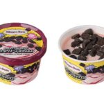 セブンイレブンのハーゲンダッツＲＯＣＫＹＣＲＵＮＣＨＹ！ストロベリーブラックを比較する。税込価格：373円。アレルギー：卵、乳、小麦。