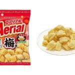 ヤマザキビスケット エアリアル 梅味 セブンイレブン 商品画像