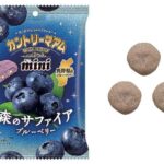 不二家 カントリーマアムミニ 森のサファイアブルーベリー セブンイレブン 商品画像
