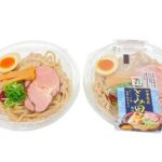 セブンイレブン 中華蕎麦とみ田監修 濃厚豚骨魚介 冷しつけ麺