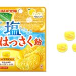 セブンイレブン 味覚糖 塩はっさく飴