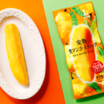 ローソン 完熟生マンゴースティック