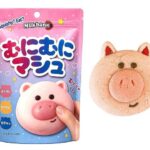 セブンイレブン むにむにマシュ