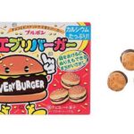 セブンイレブン ブルボン エブリバーガー 箱