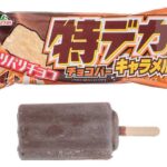 セブンイレブン フタバ食品 特デカチョコバーキャラメル