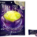 セブンイレブン サクマ製菓 罪深いぶどうキャンディ
