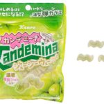 セブンイレブン カンデミーナグミジューシーウェーブシャインマスカットソーダ味