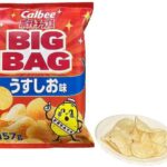 セブンイレブン カルビーポテトチップス うすしお味 ＢＩＧＢＡＧ