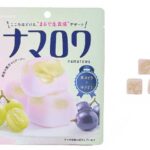 セブンイレブン カバヤ ナマロワ 黒ぶどう×白ぶどう