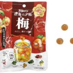 セブンイレブン カンロ 健康のど飴 梅