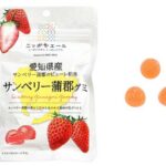 セブンイレブン 全国農協食品 ニッポンエール 愛知県産サンベリー蒲郡グミ