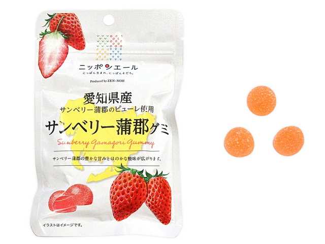 セブンイレブン 全国農協食品 ニッポンエール 愛知県産サンベリー蒲郡グミ