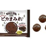 セブンイレブン 不二家 カントリーマアム ピカまみれ