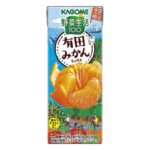 セブンイレブン カゴメ 野菜生活１００ 有田みかんミックス